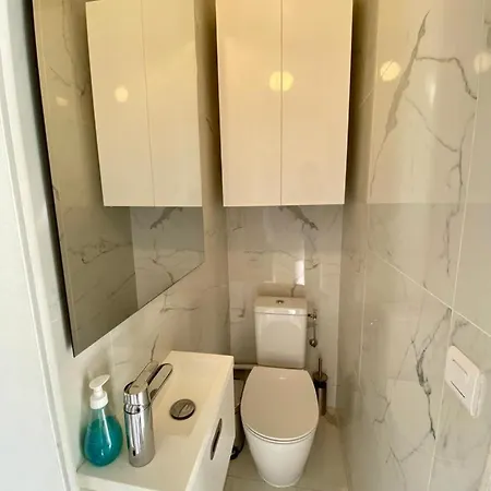 Chateau Saint Louis - 芒通